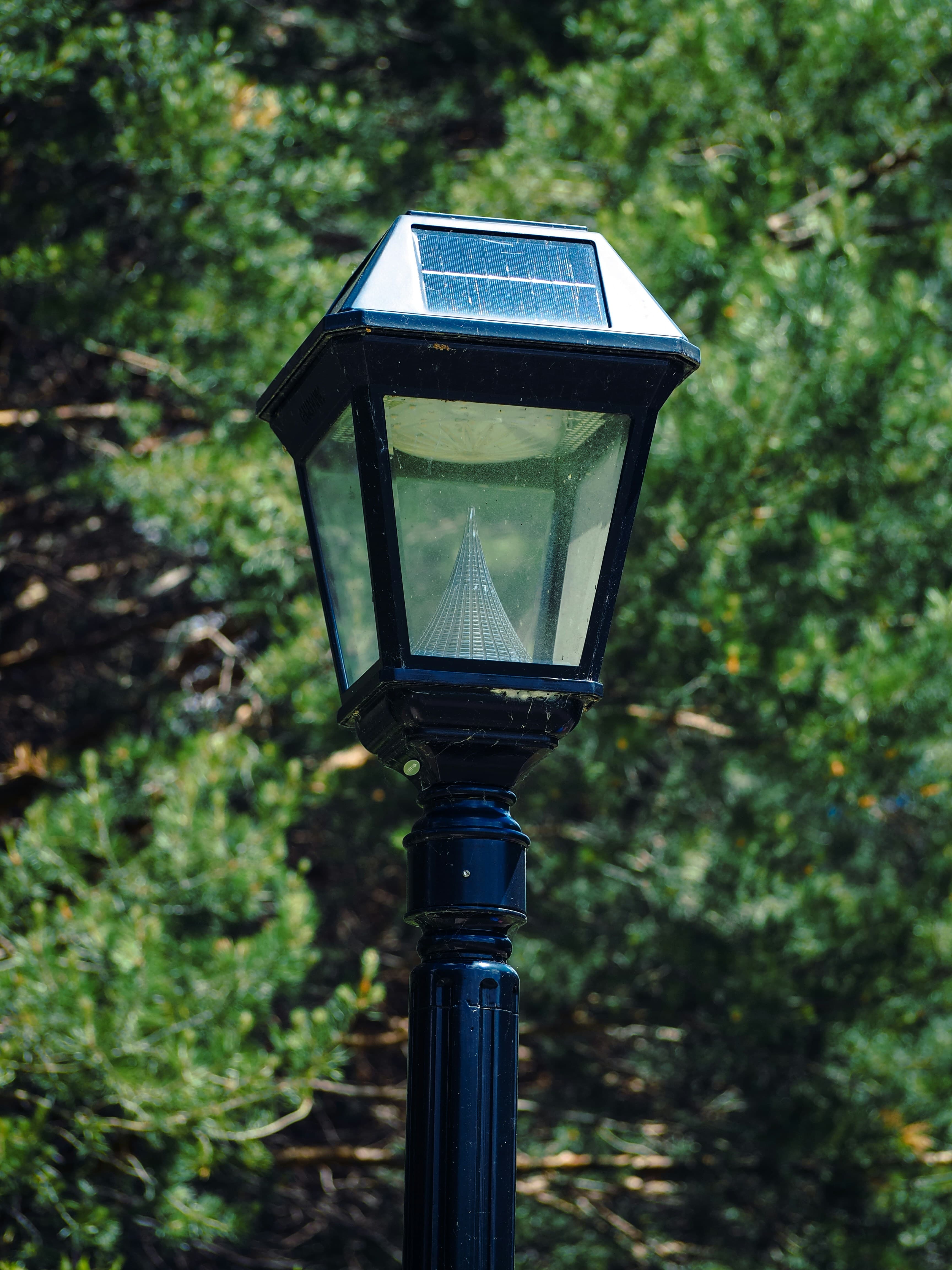 Solar & Security Lights